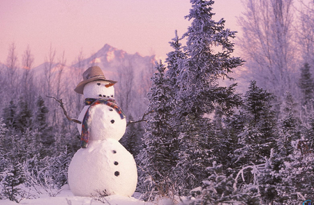 Yeni Yılınızı Kutlar Sağlık ve Mutluluklar Dilerim...