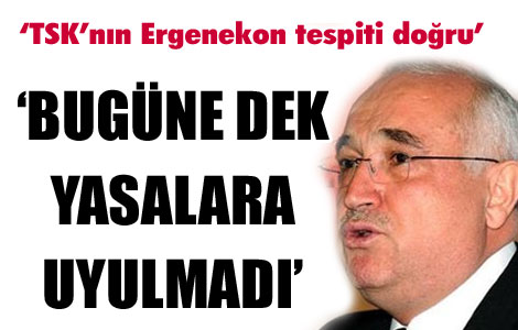 Çiçek'ten TSK'ya 'Ergenekon' desteği 