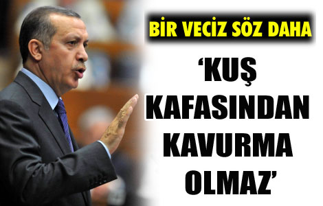 Kuş kafasından kavurma olmaz!' 