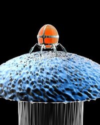 Dünyanın en küçük nano-robotu üretildi 