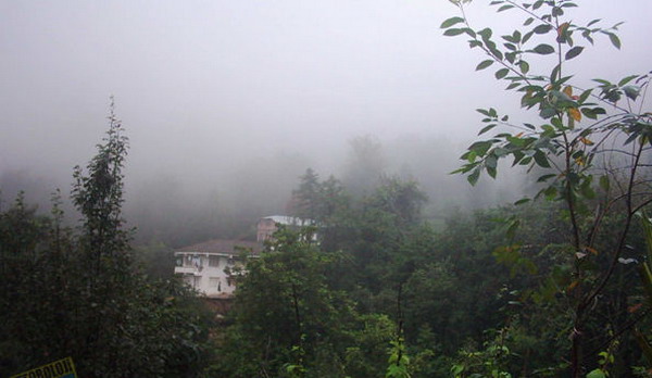 Uşak'ta son 35 yılın en yüksek yağış miktarı  