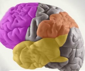  	 Beyindeki inanç noktası!