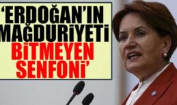 Meral Akşener: Bahçeli ve AKP konforundan çok memnun